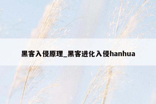 黑客入侵原理_黑客进化入侵hanhua