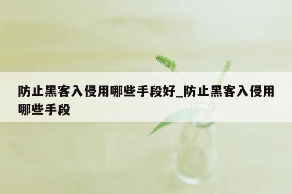 防止黑客入侵用哪些手段好_防止黑客入侵用哪些手段