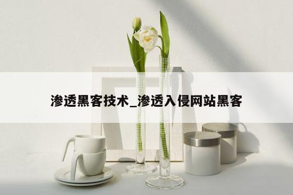 渗透黑客技术_渗透入侵网站黑客