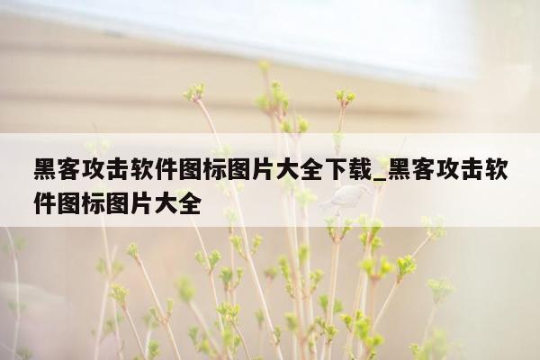 黑客攻击软件图标图片大全下载_黑客攻击软件图标图片大全