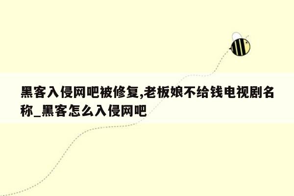 黑客入侵网吧被修复,老板娘不给钱电视剧名称_黑客怎么入侵网吧