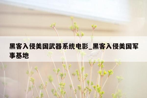 黑客入侵美国武器系统电影_黑客入侵美国军事基地