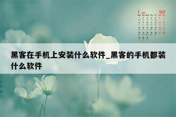 黑客在手机上安装什么软件_黑客的手机都装什么软件