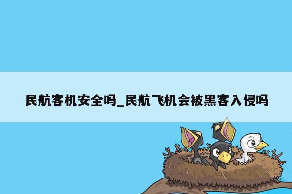 民航客机安全吗_民航飞机会被黑客入侵吗