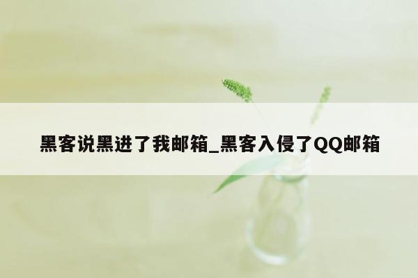 黑客说黑进了我邮箱_黑客入侵了QQ邮箱