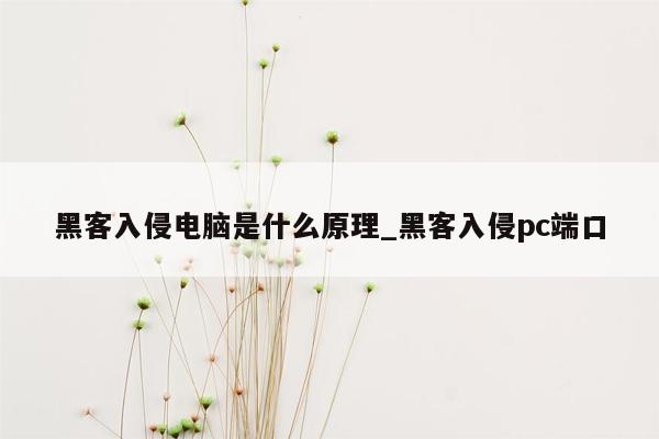 黑客入侵电脑是什么原理_黑客入侵pc端口