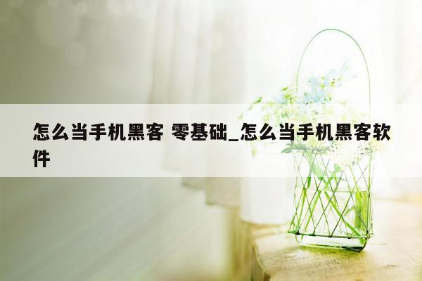 怎么当手机黑客 零基础_怎么当手机黑客软件