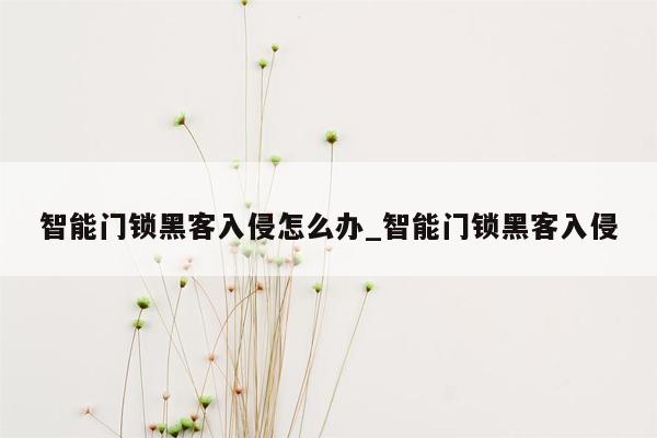 智能门锁黑客入侵怎么办_智能门锁黑客入侵