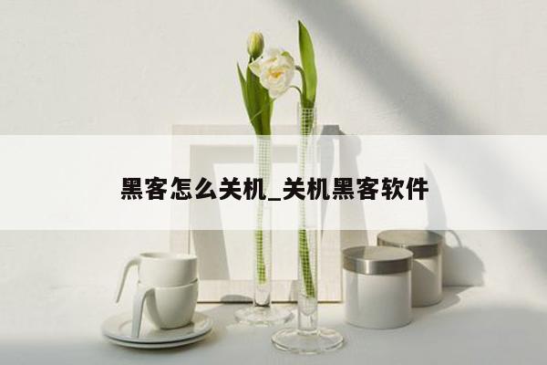 黑客怎么关机_关机黑客软件