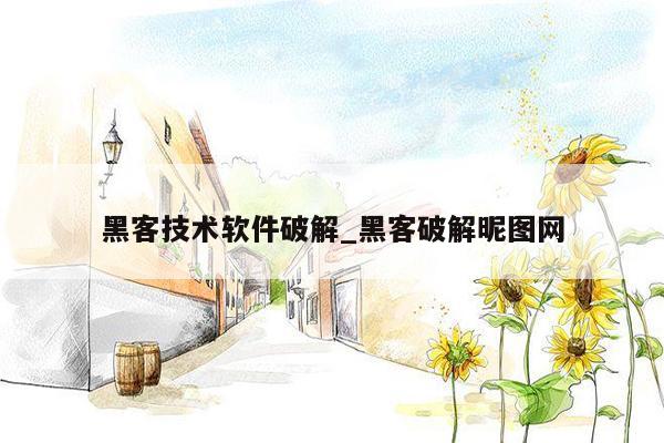 黑客技术软件破解_黑客破解昵图网