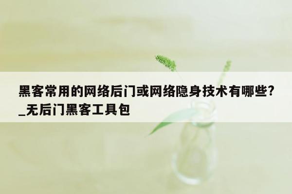 黑客常用的网络后门或网络隐身技术有哪些?_无后门黑客工具包