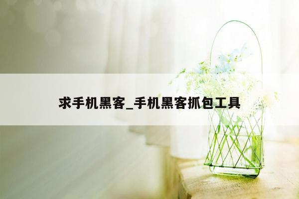 求手机黑客_手机黑客抓包工具