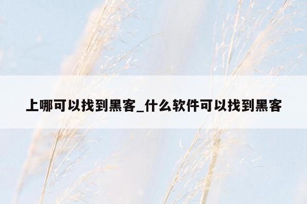 上哪可以找到黑客_什么软件可以找到黑客