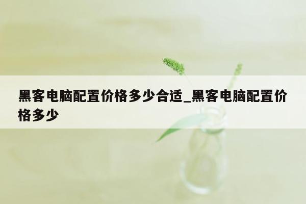 黑客电脑配置价格多少合适_黑客电脑配置价格多少