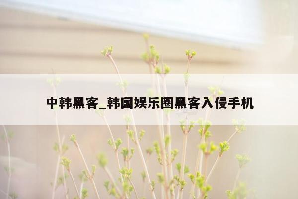 中韩黑客_韩国娱乐圈黑客入侵手机