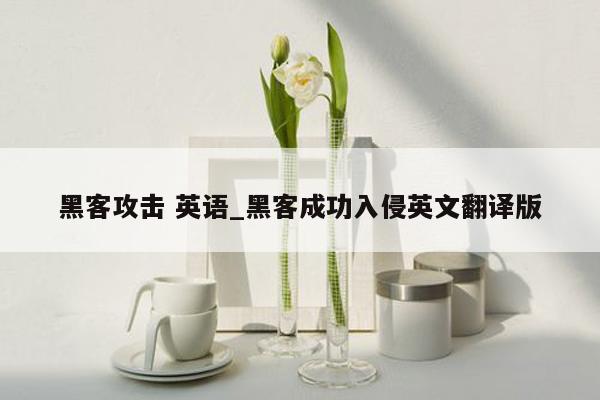 黑客攻击 英语_黑客成功入侵英文翻译版