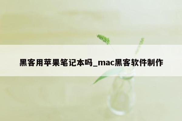 黑客用苹果笔记本吗_mac黑客软件制作
