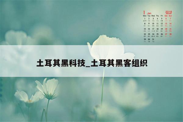 土耳其黑科技_土耳其黑客组织