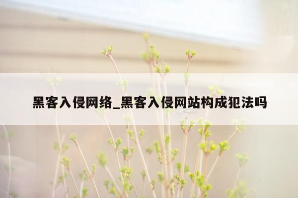 黑客入侵网络_黑客入侵网站构成犯法吗
